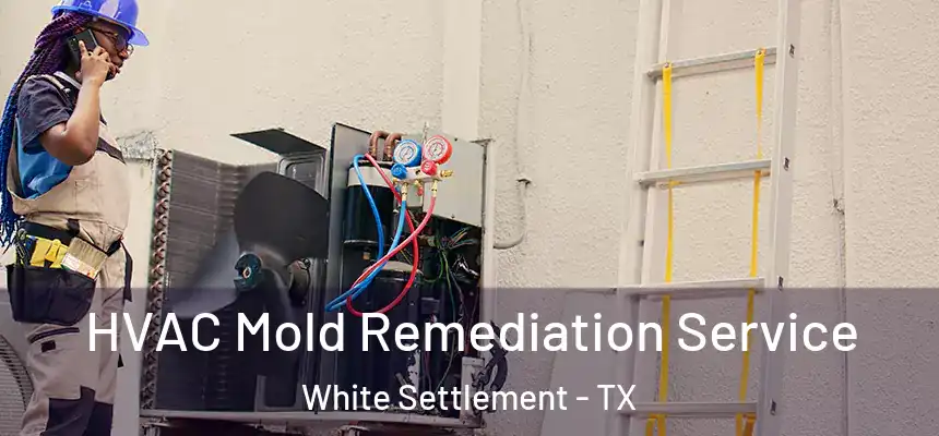  HVAC Mold Remediation Service White Settlement - TX