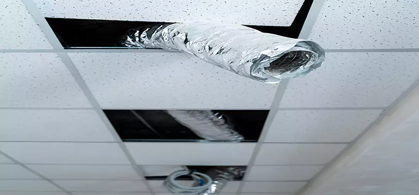 Affordable HVAC Sanitizing After Pest Removal in White Settlement