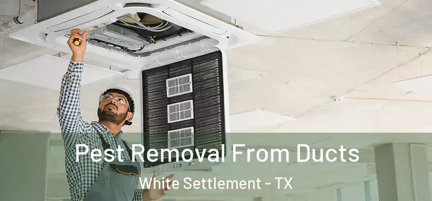  Pest Removal From Ducts White Settlement - TX