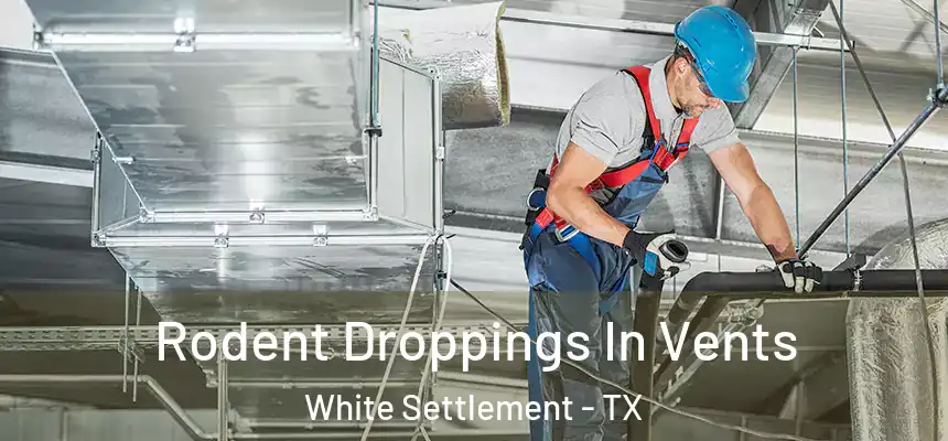  Rodent Droppings In Vents White Settlement - TX