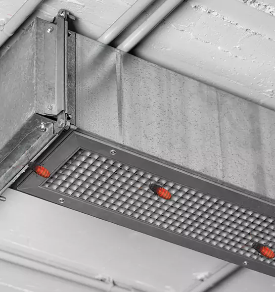 Affordable Insect Removal from Air Ducts in White Settlement, TX