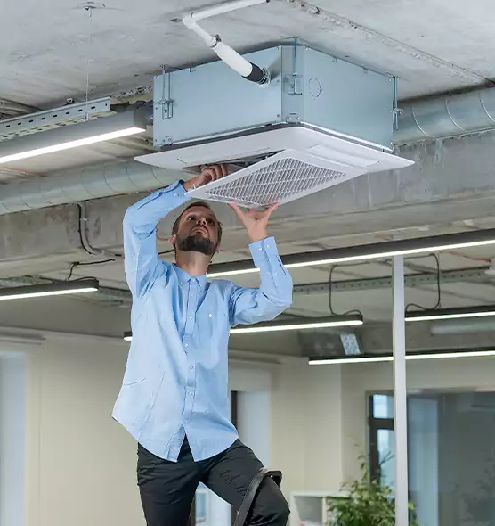 Advanced Rodent Droppings In Vents in White Settlement, TX